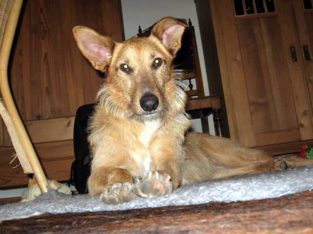 Mica