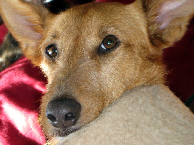 Mica
