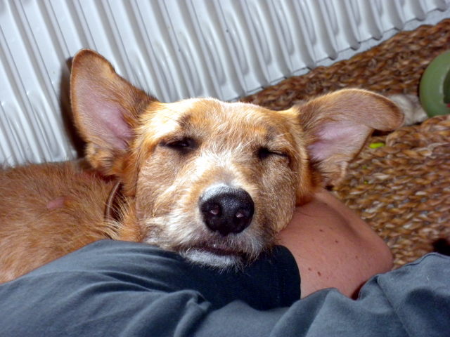 Mica